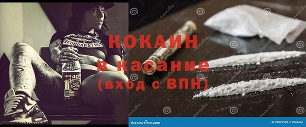 прущие грибы Приозерск
