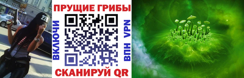 закладки  Чехов  Галлюциногенные грибы Psilocybine cubensis 